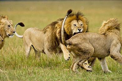  《秋叶原之旅2：导演剪辑版》确定8月1日发售 登陆PS4＆NS＆PC